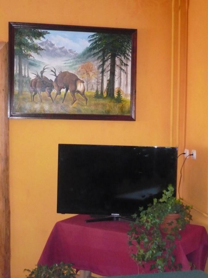 Pokoje gościnne w górach Kościelisko Exterior foto